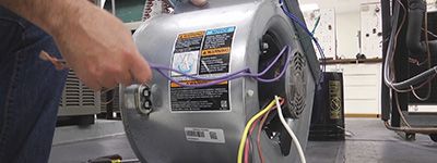 Finding a Replacement Motor