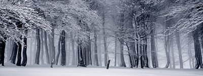 Give your customers a winter break