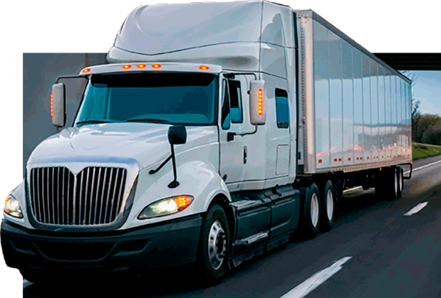 Investment in Distribution