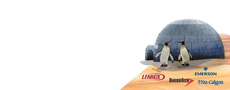 15% Off<br> Your Order.