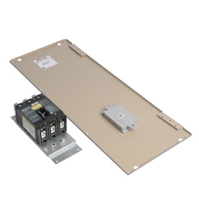 C1DISC150C-1 Disconnect - 150A