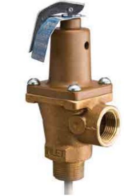 Automatic Reseating Temperature and Pressure Relief Valves