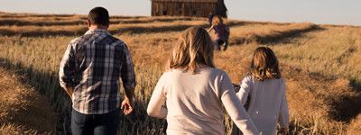 Family Business Needs Structure