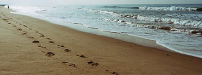 The Importance of Tracking Leads