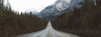 Why taking the middle road leads you to the top
